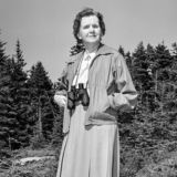 Rachel Carson: a primavera e o sil?ncio