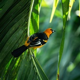 As obras de Deus na natureza